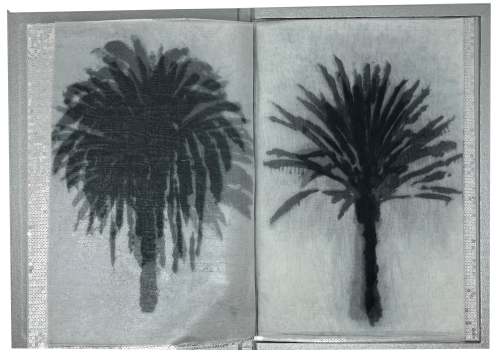 Pauwels, Nora; 16 PALMS (2022) Pauwels, Nora; 16 PALMS (2022)